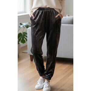 Eileen Fisher Women’s Silk Rayon Velvor Pull On Pants Jogger Crushed Velvet Sz L